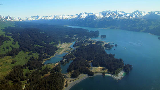 Birds eye view of Seldovia