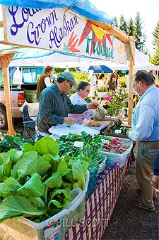 Homer Farmer's Market